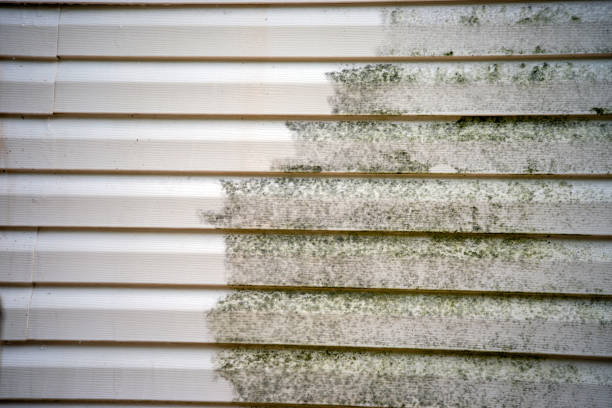 Affordable Siding Repair and Maintenance Services in Franklin, VA